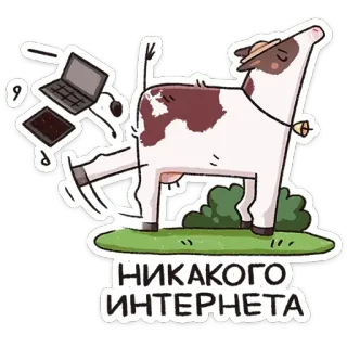 💻 e453b443 НИКАКОГО ИНТЕРНЕТА vache, internet, drôle, autocollant, ordinateur portable, dessin animé telegram sticker