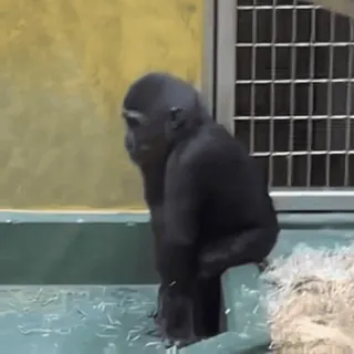 Стикеры: @sticktalkru telegram stickers