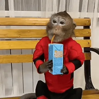 Стикеры: @sticktalkru whatsapp stickers