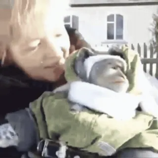 😃 d7aa5df6 scimmia, animale, bambino, inverno, carino whatsapp sticker