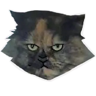 😑 73b6fa25 gato, adesivo, animal, animal de estimação, felino, rabugento, desenho animado telegram sticker