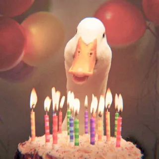 🦆 45865b47 pato, bolo, aniversário, velas, celebração, festa, animal, pássaro whatsapp sticker