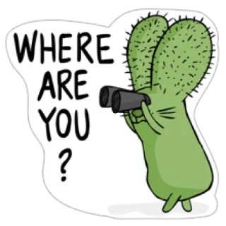 👷 253cfec6 WHERE ARE YOU? cactus, recherche, jumelles, question, vert, autocollant whatsapp sticker