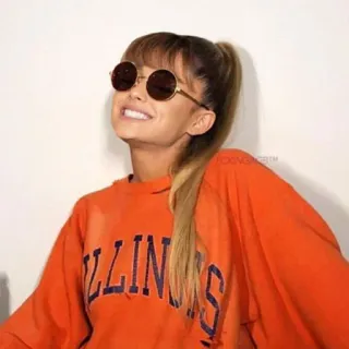 😁 2bd828d9 ILLINOIS Ариана Гранде, Иллинойс, Колледж, Оранжевый, Толстовка, Солнцезащитные очки, Университет telegram sticker