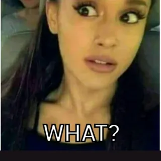 🤔 3af4c5fb WHAT? Мем, Выражение, Смущенный, Вопрос, Удивление telegram sticker