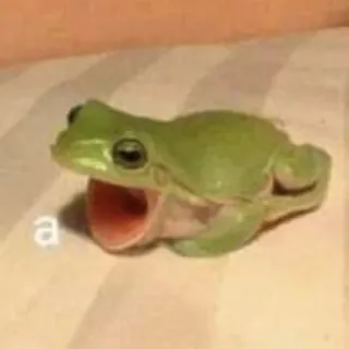 🐸 830d389e a rana, animal, verde, meme, gritando whatsapp sticker