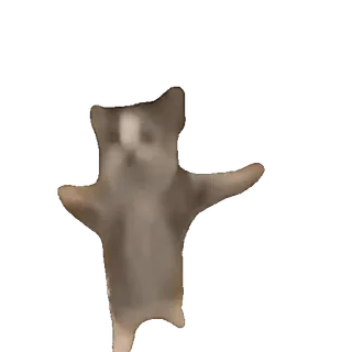 🤩 d5d3042f 猫, ダンス, ミーム, 面白い, 動物 whatsapp sticker