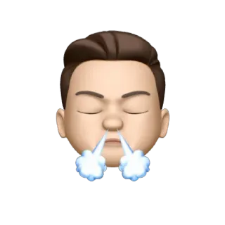 😤 f7876653 Emoji, Marah, Frustrasi, Stres, Wajah, Uap telegram sticker