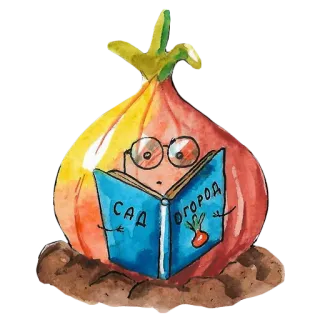 🧐 935dfb25 САД ОГОРОД zwiebel, lesen, garten, buch, gemüse telegram sticker