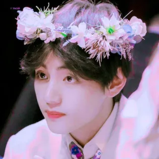 ✨ 051ecdb6 telegram sticker