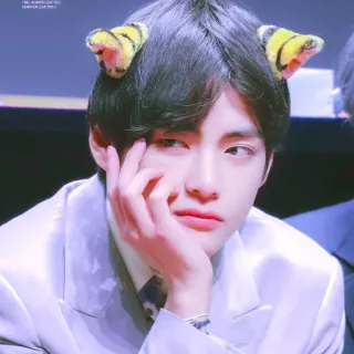 🐻 13700cc0 telegram sticker