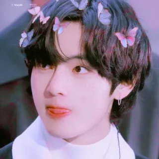 🦋 39e0d671 V kpop, ídolo, cantante, mariposa, retrato, persona, hombre telegram sticker