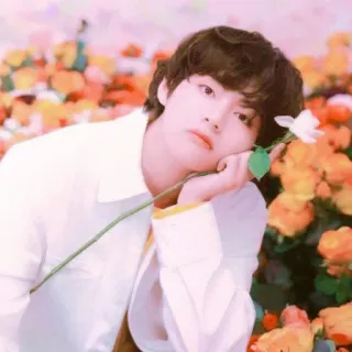 💫 98ab6593 persona, flores, retrato, rosa, hombre telegram sticker