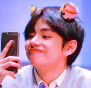 🐻 98d5311e telegram sticker