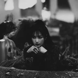 🦋 5f82223e telegram sticker