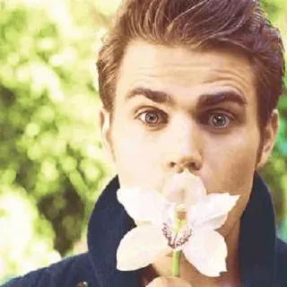 By @stef_salvatore telegram stickers