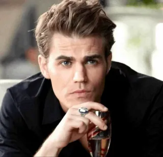 🥃 e0064403 Stefan Salvatore The Vampire Diaries Stefan Salvatore, Paul Wesley, Vampire Diaries, TV Serie, Vampir, Schauspieler, Promi whatsapp sticker