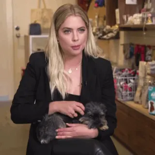 🌔 6d835d94 woman, dog, pet, portrait, indoor, sitting, coat whatsapp sticker