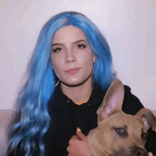 💧 21796fb3 Halsey Halsey, penyanyi, rambut biru, anjing, selebriti whatsapp sticker