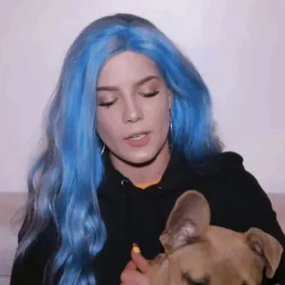 💧 2d9df9d7 Halsey penyanyi, rambut biru, anjing, selebriti, wanita, potret whatsapp sticker