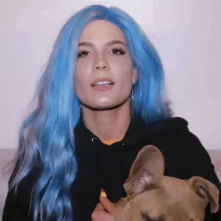 💧 38d88faf Halsey penyanyi, wanita, rambut biru, anjing, potret, selebriti whatsapp sticker