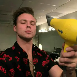 ☄ 48284f5d homem, retrato, secador de cabelo, rosas, camisa, rosto, interior telegram sticker