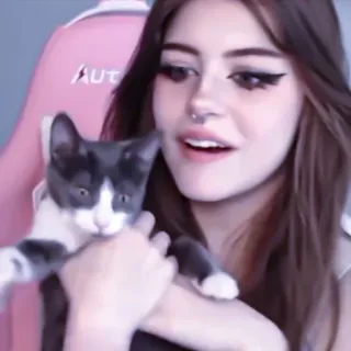👥 5b3a0ad3 ผู้หญิง, แมว, สัตว์เลี้ยง, ภาพเหมือน, ยิ้ม, ในร่ม telegram sticker