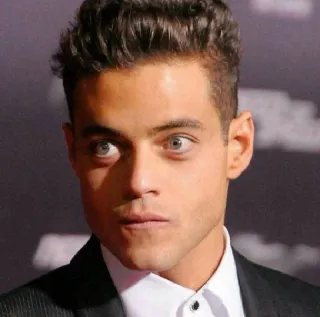 👁 418c74cc Rami Malek Rami Malek, acteur, célébrité, portrait telegram sticker