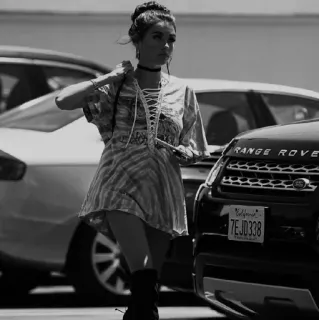 🥀 6338aaf3 telegram sticker