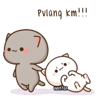 🐼 bcbc0249 Pulang km!!! mono, dibujos animados, gatos, animales, kawaii telegram sticker
