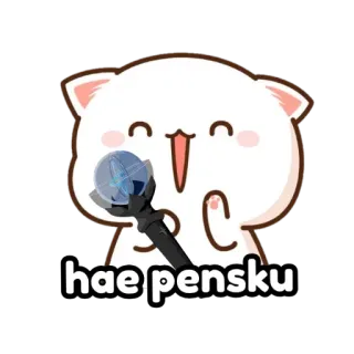 🐼 ee383824 hae pensku gato, lindo, animal, pegatina telegram sticker
