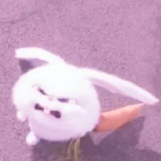 Cute cats telegram stickers