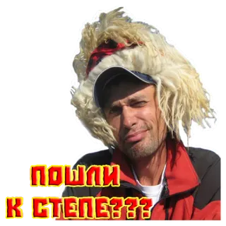 🍻 129cd207 ПОШЛИ К СТЕПЕ??? 男人, 问题, 草原, 俄语, 文本, 表情 telegram sticker