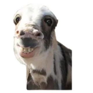 astma telegram stickers