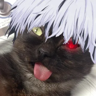 😝 09144fb2 @qsssssve кот, домашнее животное, животное, язык, смешной, мем, цифровое искусство, мультфильм telegram sticker
