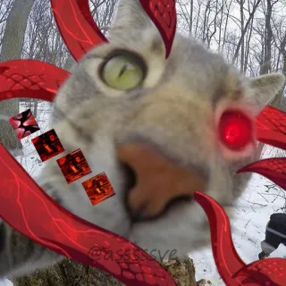 😑 3a287b65 @assssscve кот, щупальца, монстр, животное, питомец, фэнтези telegram sticker