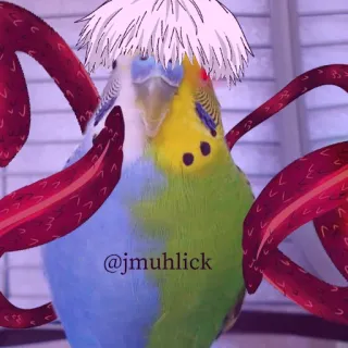 Asvecats telegram stickers