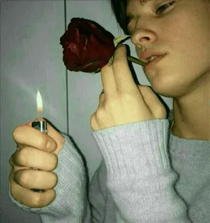 🌹 590361e8 rosa, isqueiro, fogo, estético, menino, adolescente, flor, escuro telegram sticker