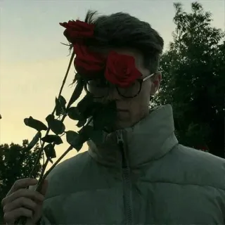 🌹 7e8e7344 homem, flores, rosa, retrato, estético, moda, estilo telegram sticker