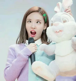 🐰 3c4883e8 Frau, Hase, Mikrofon, Person, K-Pop, Twice telegram sticker