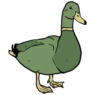 🦆 347d013a เป็ด, สัตว์, นกน้ำ, สีเขียว, นก telegram sticker
