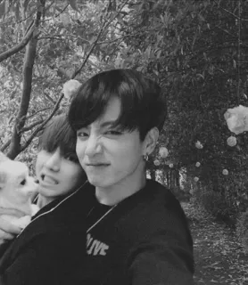 🦋 b866d0b8 telegram sticker