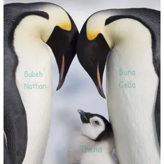 Athéna's Pinguin telegram stickers