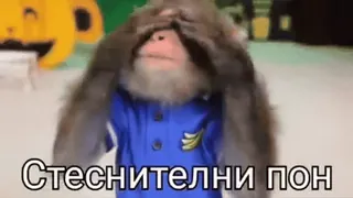 😳 076bae87 Стеснителни пон singe, gêné, timide, mignon, animal telegram sticker