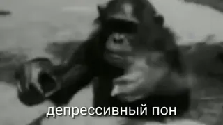 😞 2227e3a0 депрессивный пон animal, singe, dépression, mème, russe, internet telegram sticker