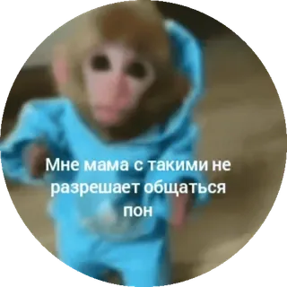 🤨 bb6297ef Мне мама с такими не разрешает общаться лол singe, mème, russe, animal, drôle telegram sticker