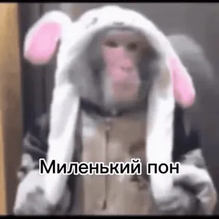 🥰 f3c3e23a Миленький пон singe, lapin, mignon, animal, texte russe telegram sticker