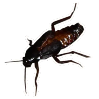 atlas_xd telegram stickers