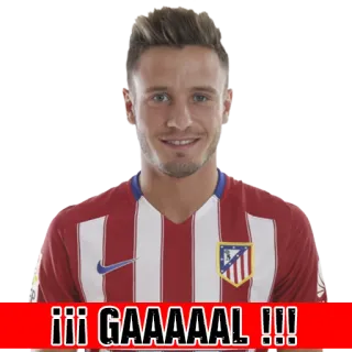 🏧 24715734 !!! GAAAAAL !!! bóng đá, thể thao, bàn thắng, ăn mừng telegram sticker