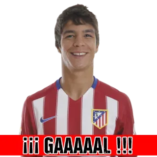 🏧 b78bfecc !!! GAAAAAL !!! bóng đá, bàn thắng, thể thao, vận động viên, ăn mừng telegram sticker